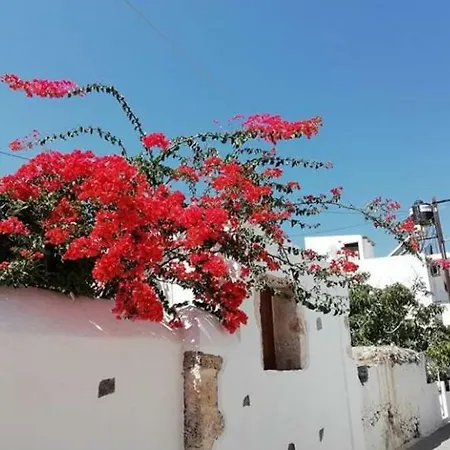 Aphrodite Luxury * Hersonissos (Crete)